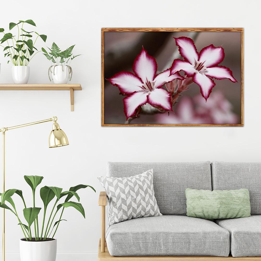 the-original-online-store-of-blume-voller-runder-diamant-40x30cm-discount_4.jpg